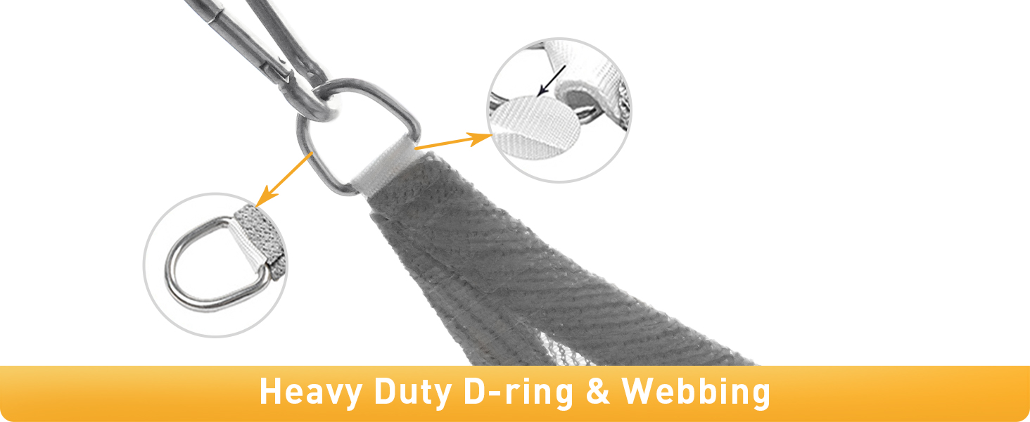 Heavy Duty D-ring&amp;Webbing