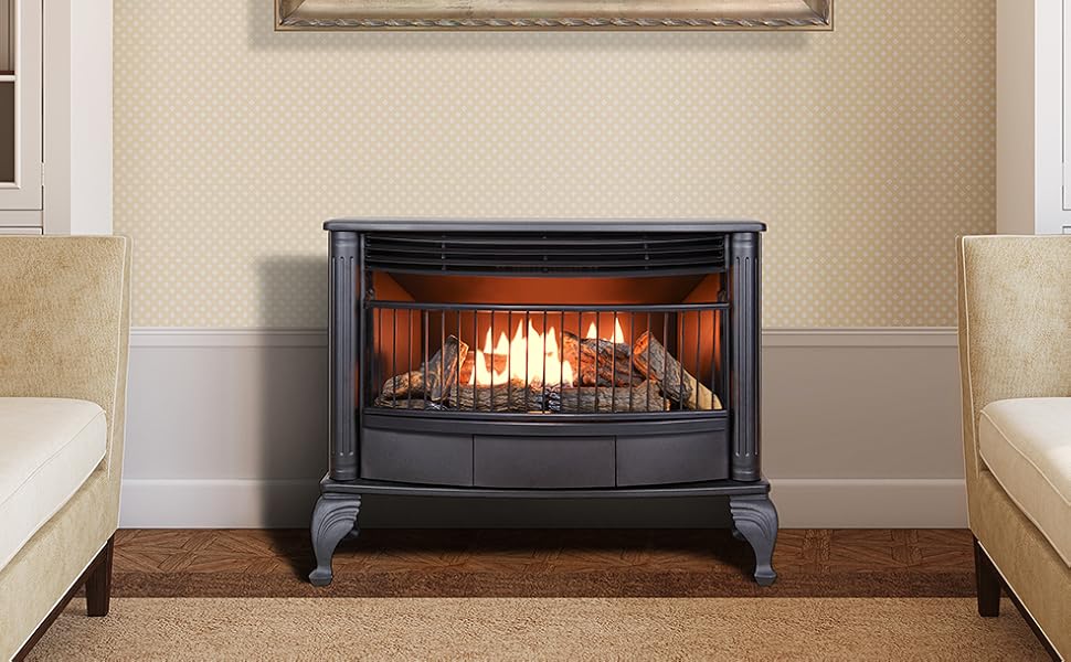 Gas Stove