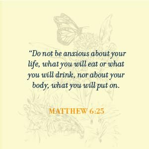 rest, rest in god, peace, hannah anderson, humble roots, matthew 6:25, christian books foranxiety
