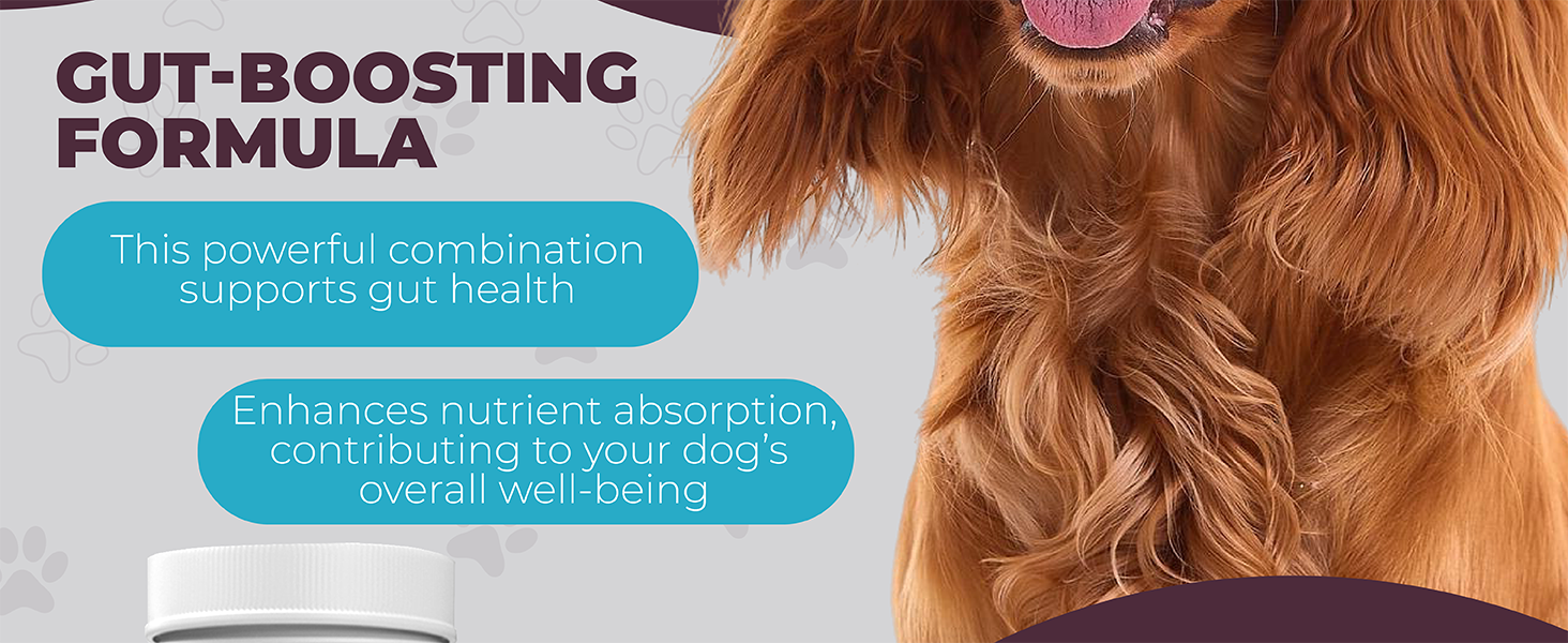 Dog Supplement for Gastrointestinal Discomfort