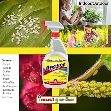 Indoor &amp; Outdoor Pest Control