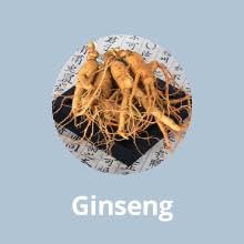 Daeng GI Meo Ri, Ki Gold Premium, Shampoo, Treatment, Daeng GI Meo Ri Shampoo, Hair Care, Scalp Care