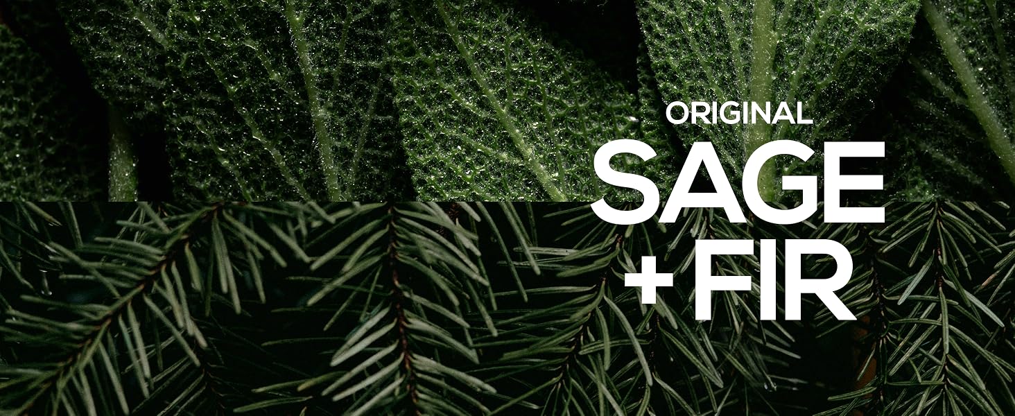 Sage + Fir