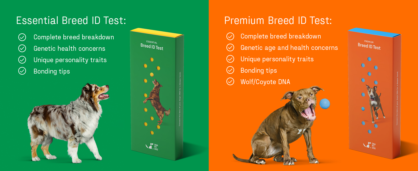 DNA My Dog dna test