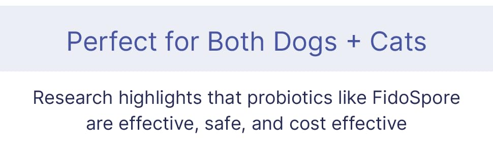 dog gut health probiotics dog supplement probiotic supplement supplements for dogs canine probiotic