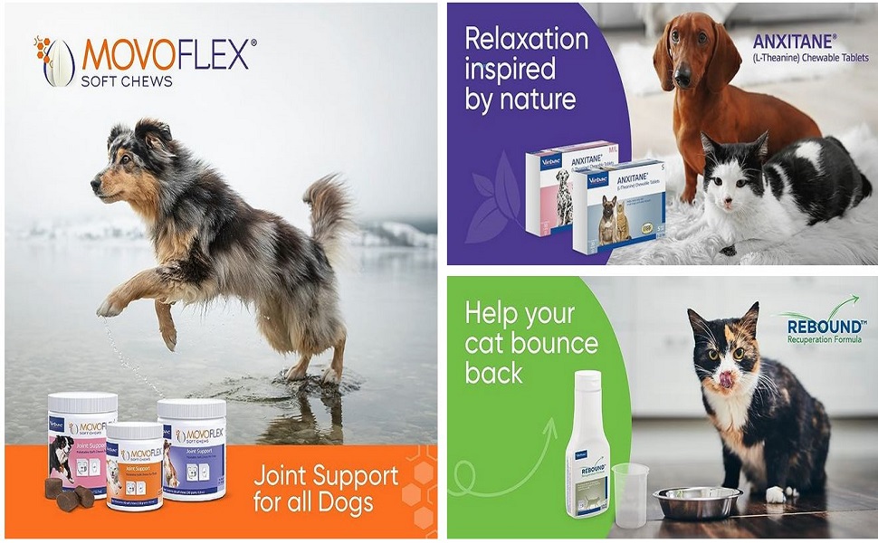 aplus content image