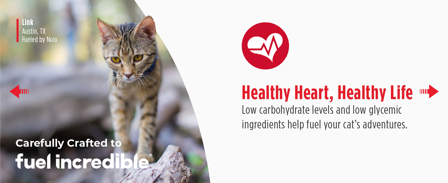 Image of cat with text reading healthy heart healthy life.