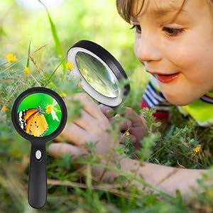 magnifying glass