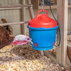 Heated Poultry Waterer