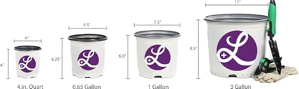 Pot Size Chart