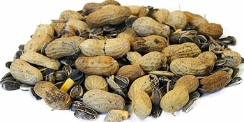 peanuts for chipmunks