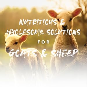 manna pro goats and sheep lifestyle image