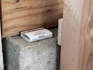 cockroach tunnel placement