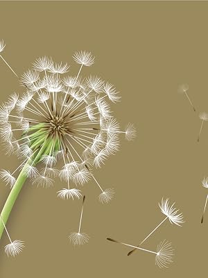 Allergy
