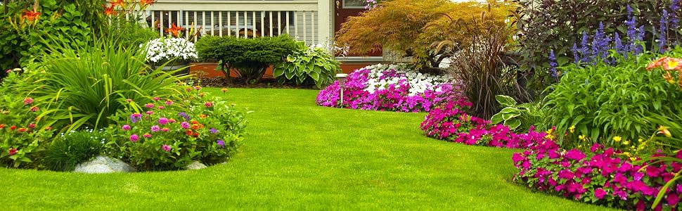 solo sprayers, garden spraying