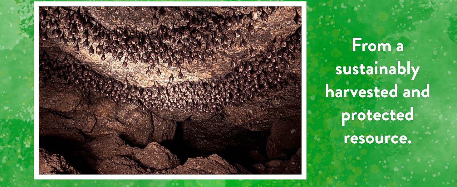 Bat Guano 4