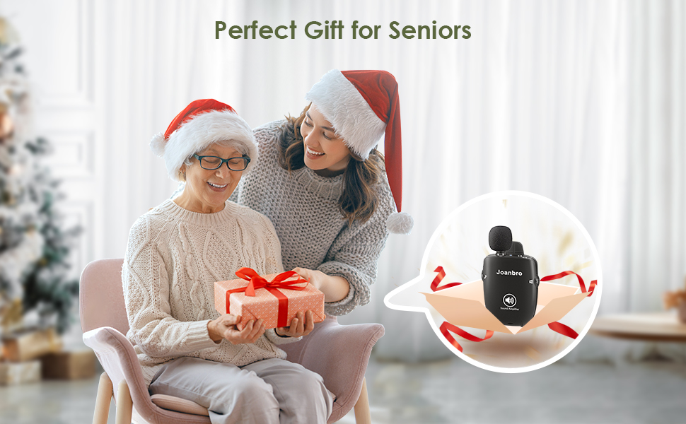 Personal Sound Amplifier