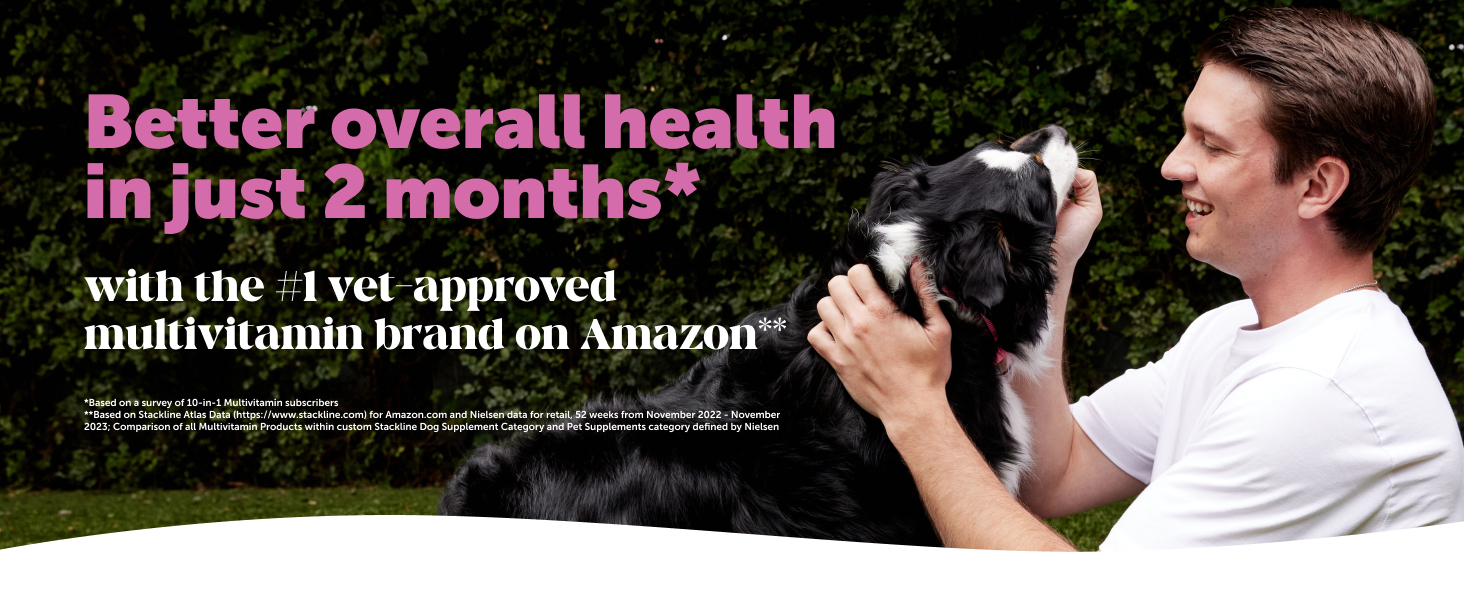 multivitamin for dogs dog multivitamin