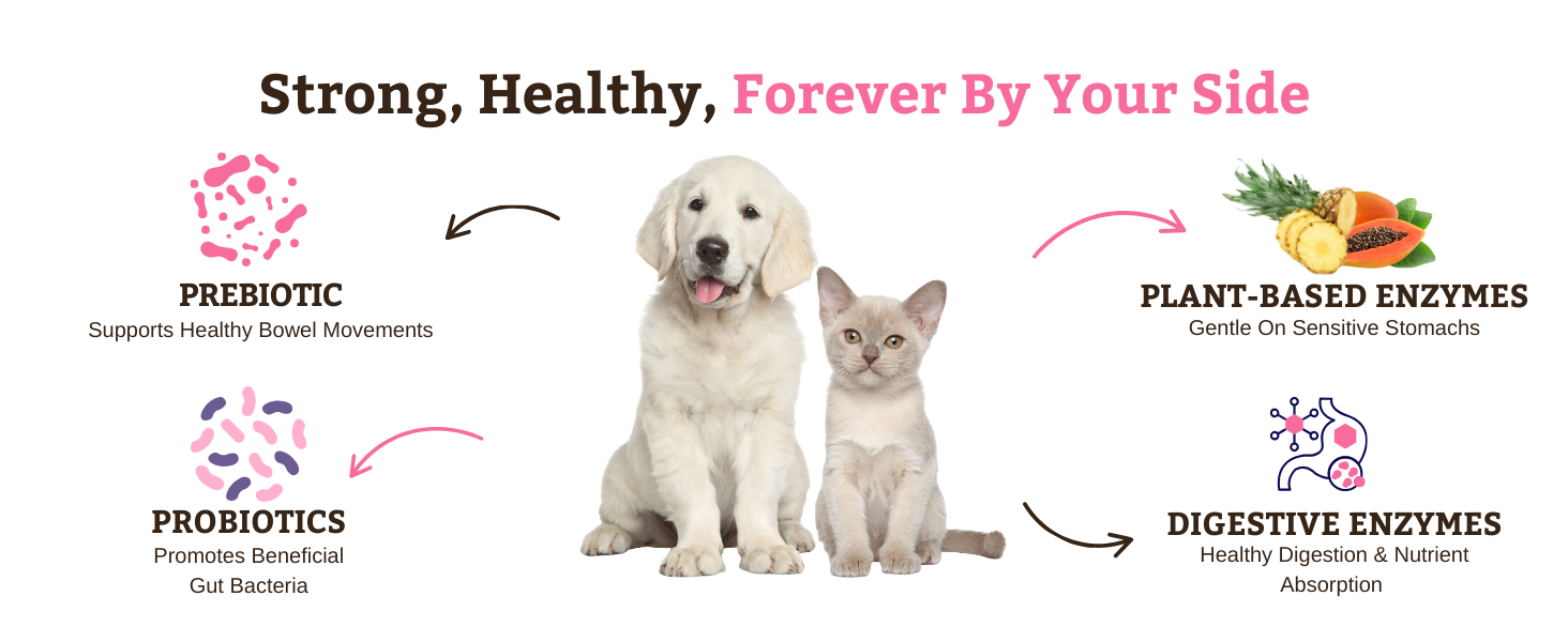 Safe for All Breeds &amp;amp; Ages