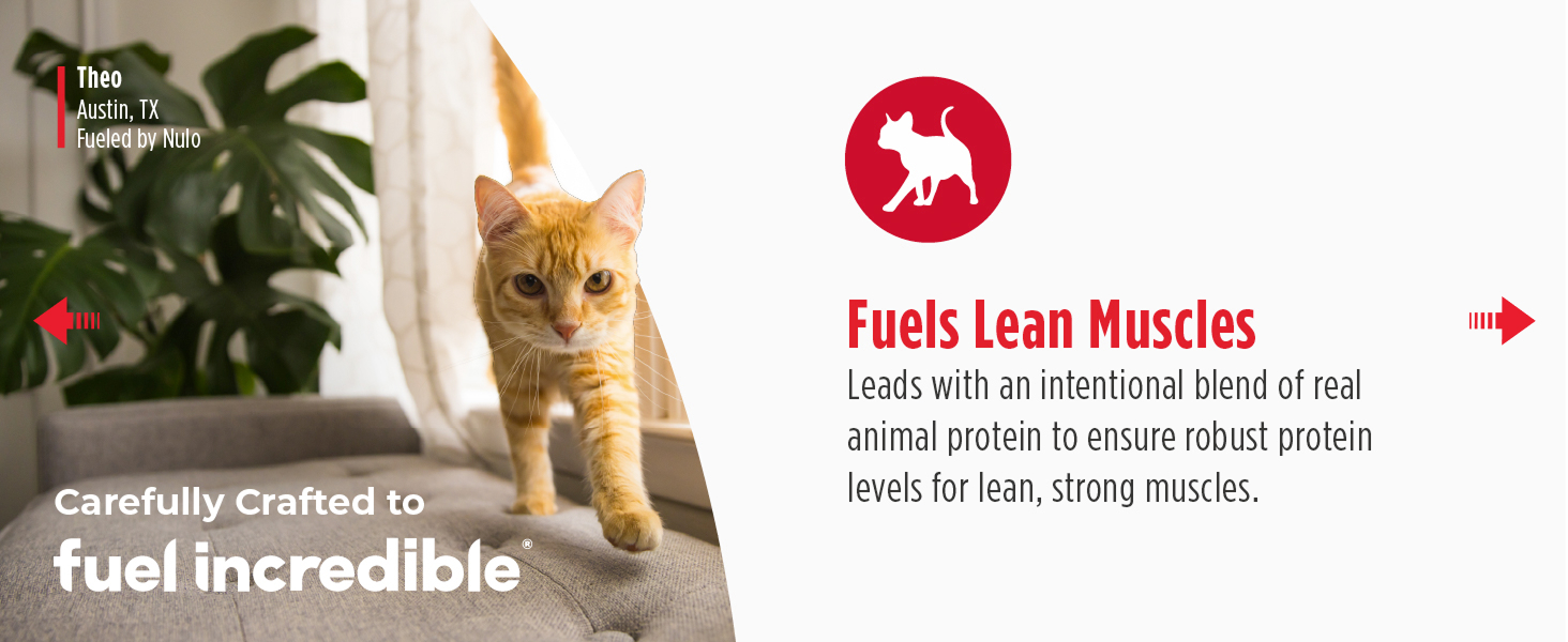 Image of cat with text reading fuels lean muscles.