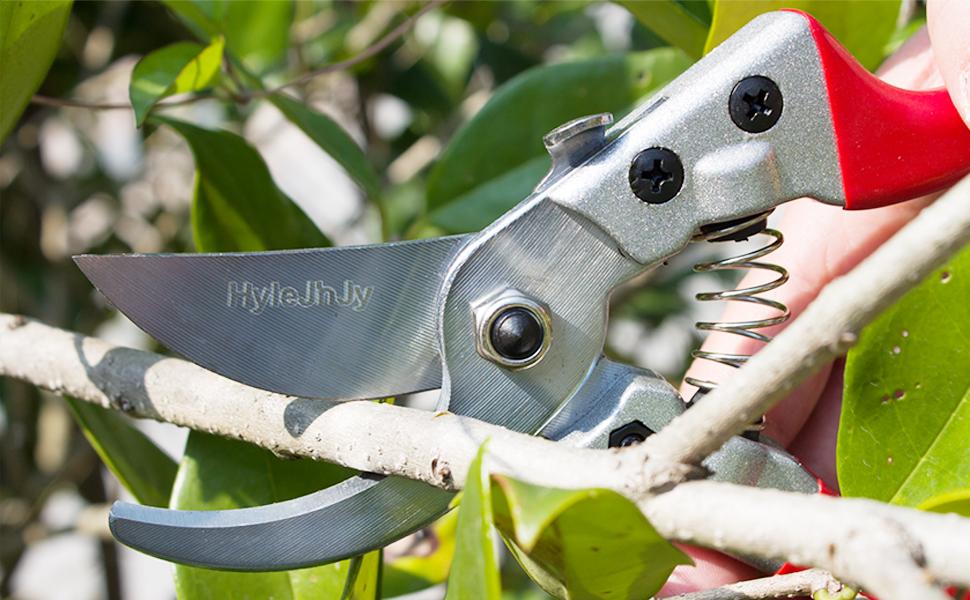 Big Scissor