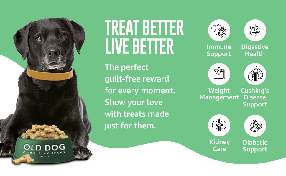 2 Calorie, Vet Approved Pet Snacks