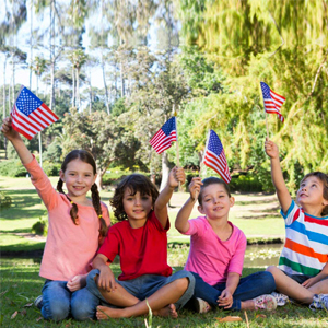Small American Flags on Stick
