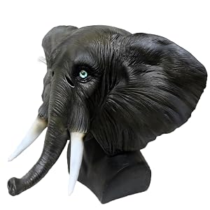 Party Mask