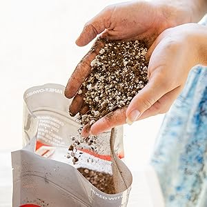 Organic carnivorous potting soil mix Perfect Plants Nursery low nutrient high water retention