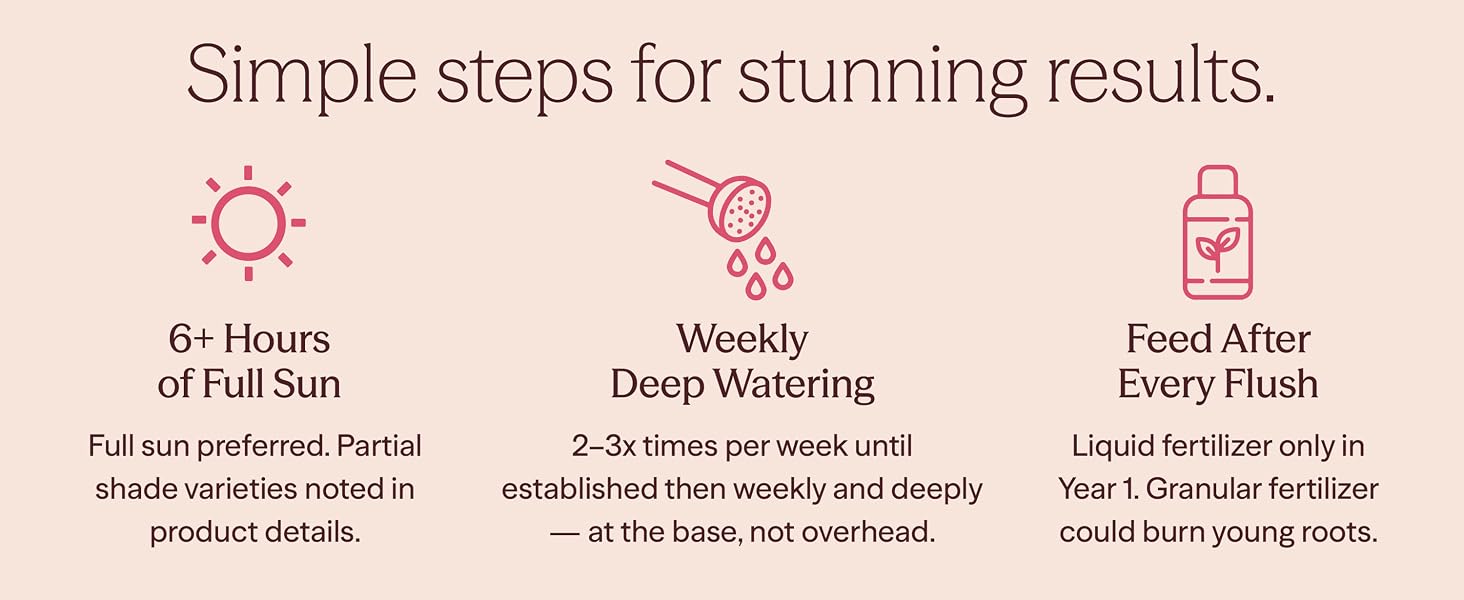 Simple steps for stunning results.