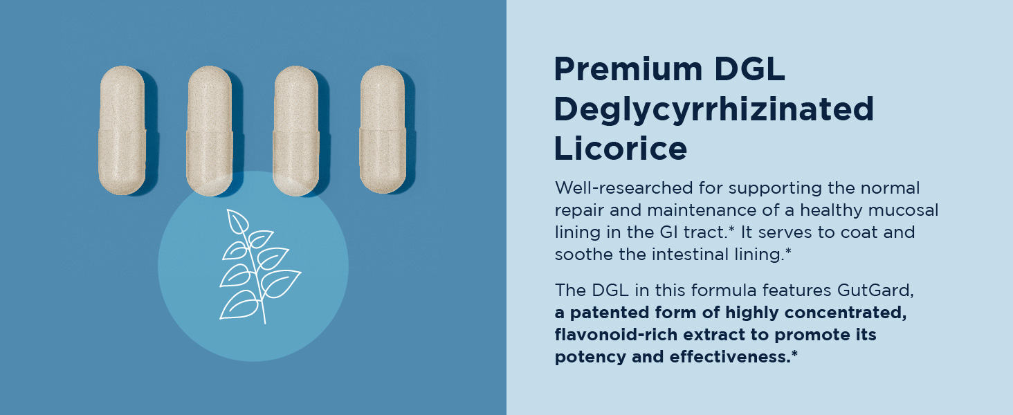 dgl licorice mastic gum capsules deglycyrrhizinated licorice