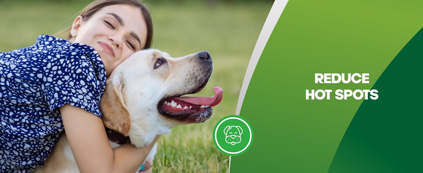 fiber for dogs dog diarrhea probiotics for dogs digestive health