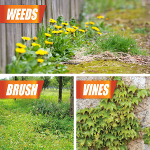 Effectively kills weeds, brush and vine
