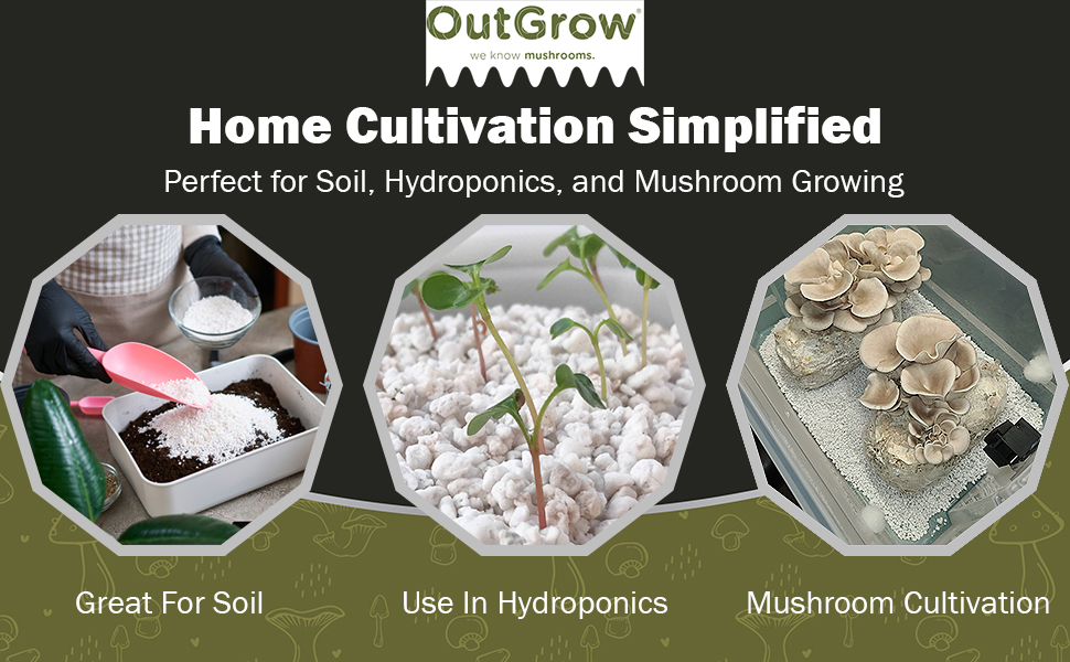 close up of seedling in perlite and mixing perlite in soil