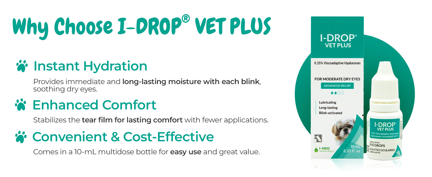 dog eye drops itchiness allergy
