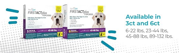 FirstAct Plus for Dog
