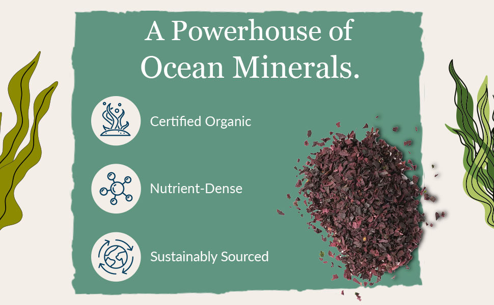 Maine Coast Sea Vegetables
