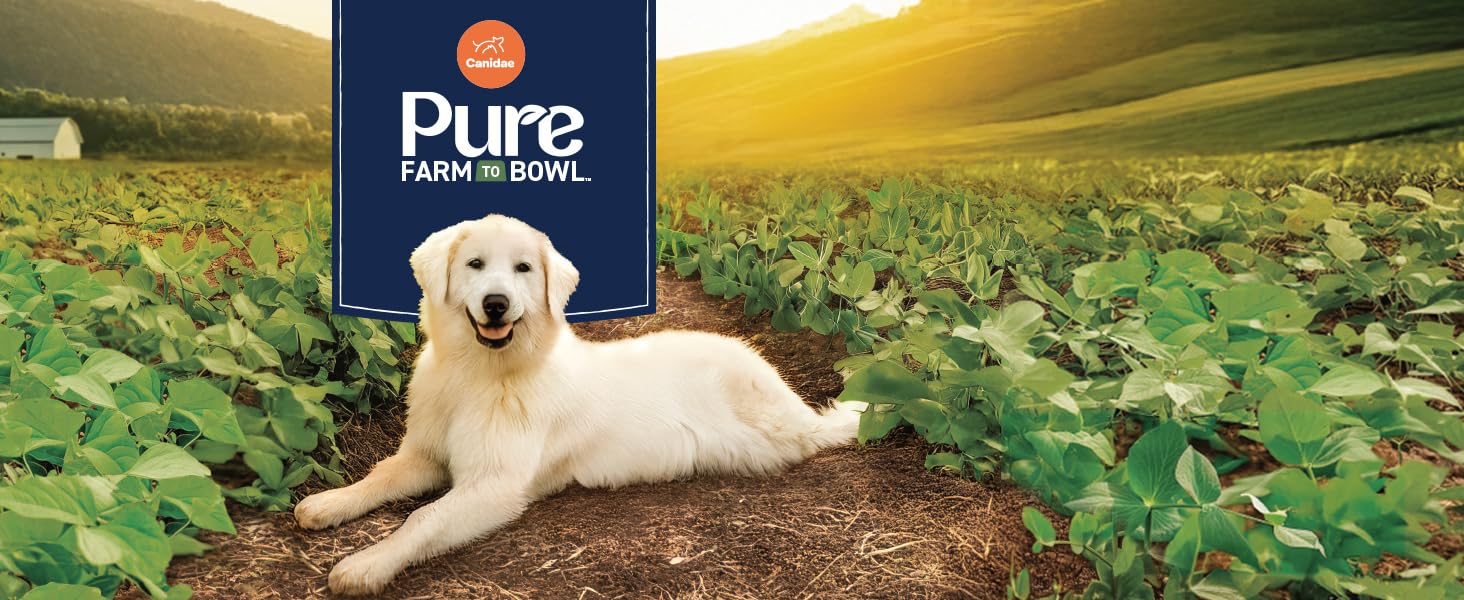 PURE Farm to Bowl premium dog food - responsibily sourced, nutrient dense ingredients
