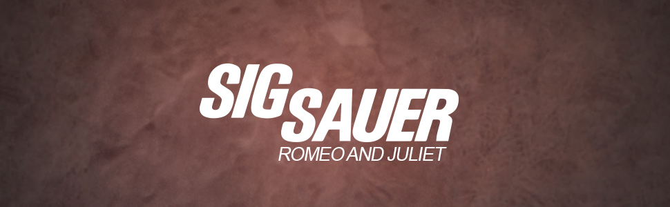 sig sauer romeo and juliet combo