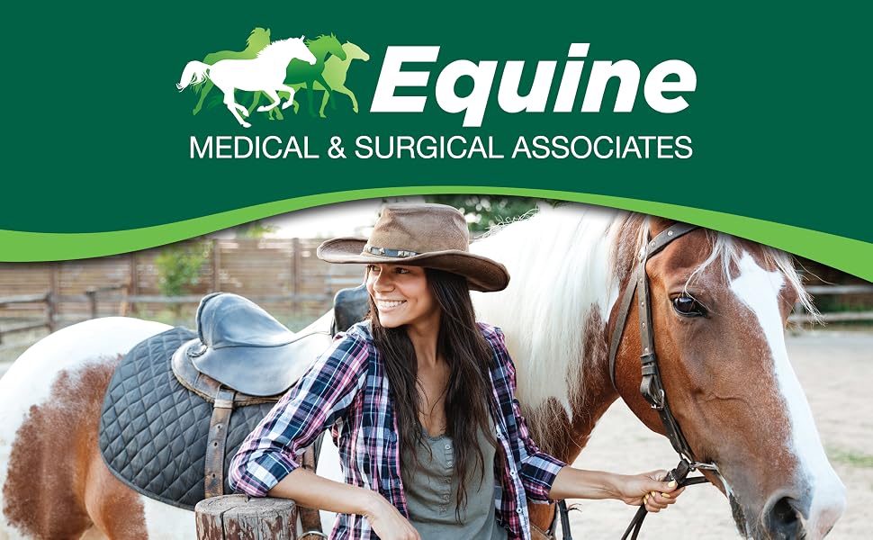 Equine veterinary banner with woman and brown white horse beside saddle