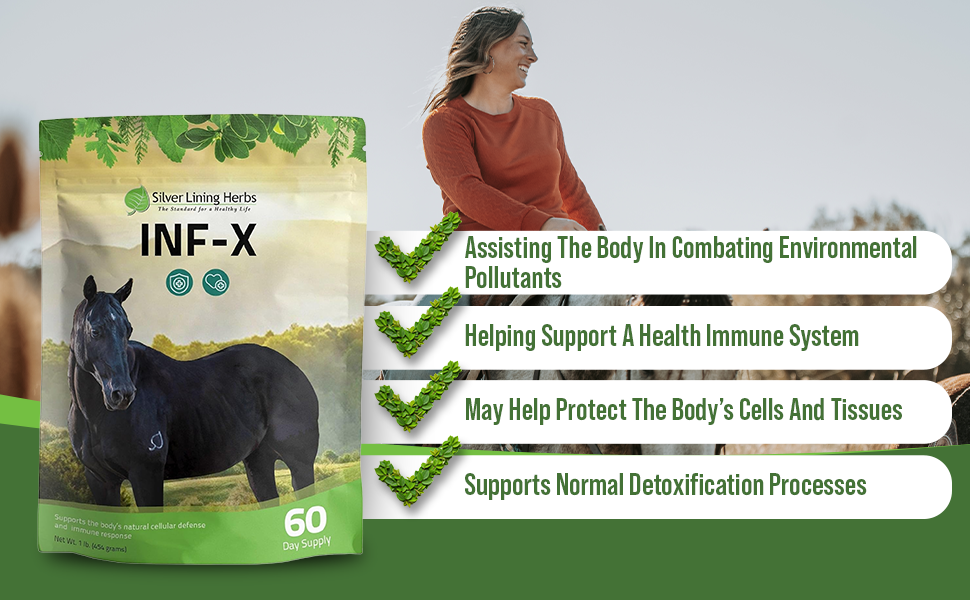 Silver Lining Herbs INF-X Horse Immune Support Powder Herbal Equine Immune Supplement
