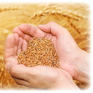 Duru Bulgur