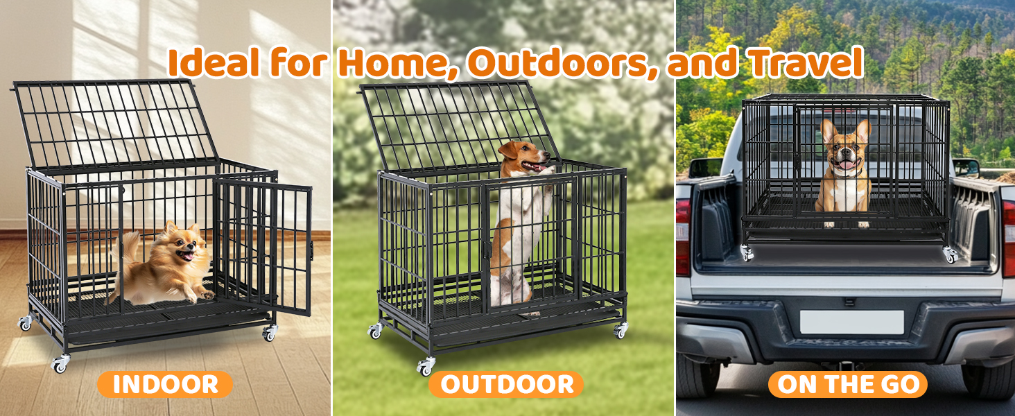 dog kennel