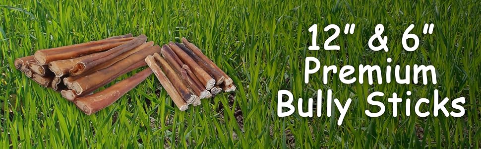 bully stick dog small medium large aggressive chewer treat bite jerky perro