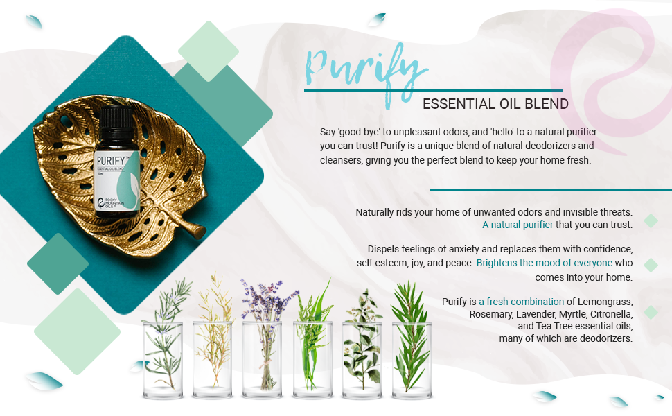 citronella oil essential oil blends lemongrass oil organic lavender essential oil oil for diffuser
