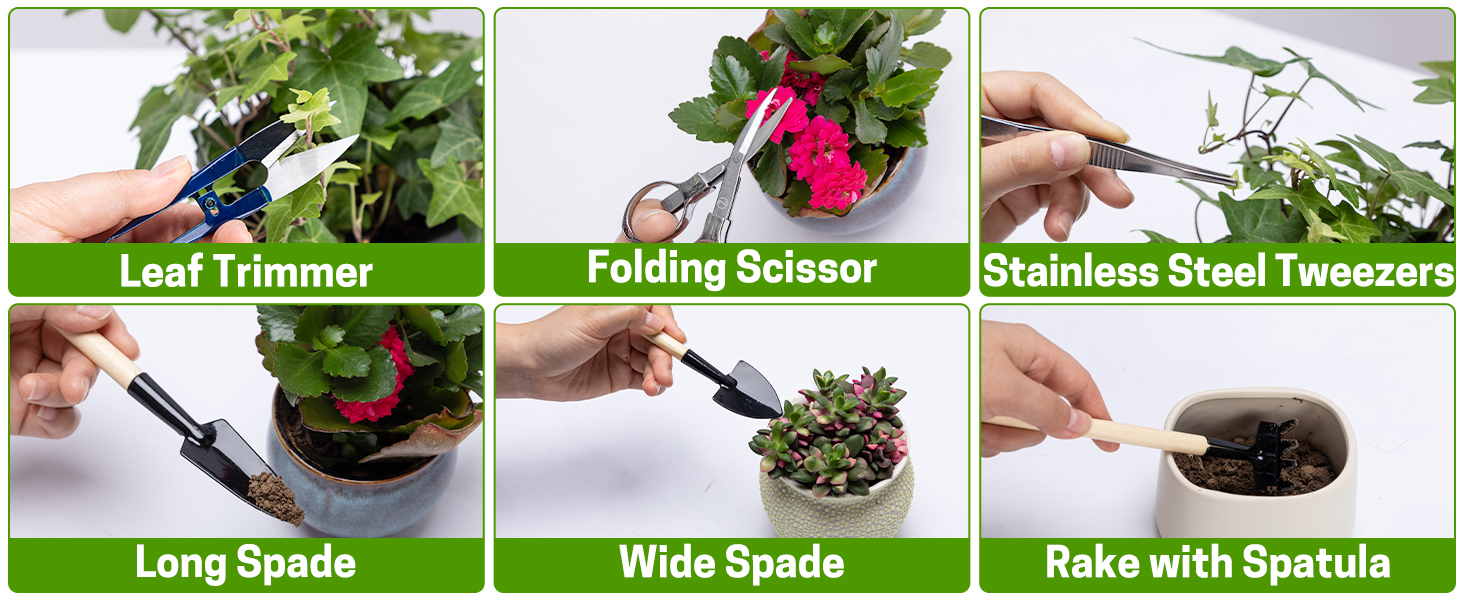 bonsai set