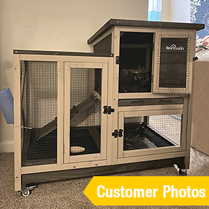 bunny hutch