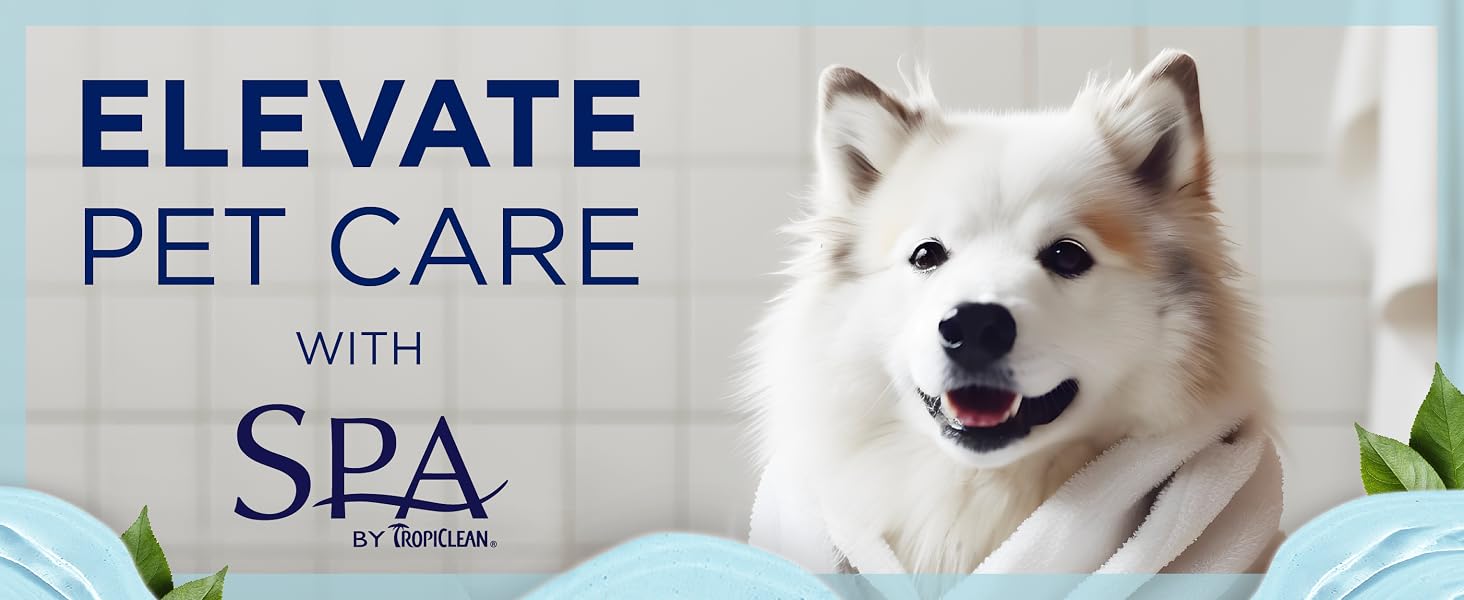 stain remover for dogs eye stain remover for dogs dog mouth stain remover dog tear stain