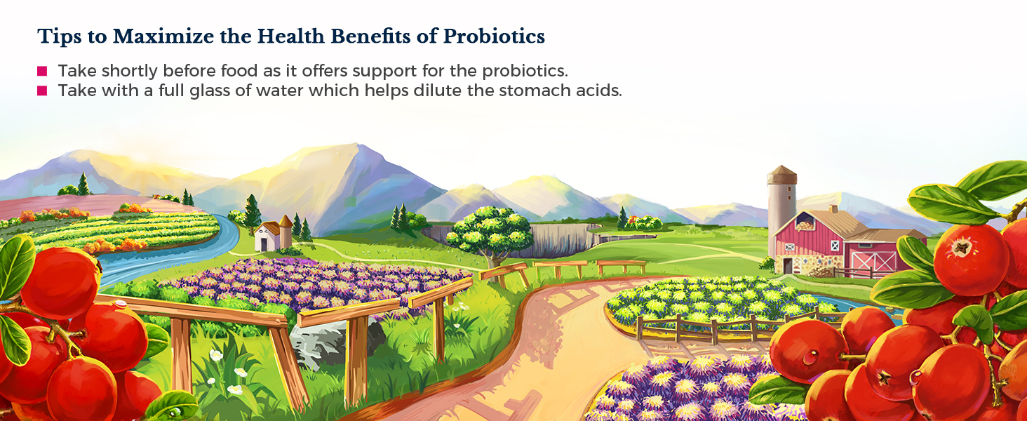 Vitalitown Women’s Probiotics is made in the USA, non-dairy, non-GMO &amp;amp; vegan