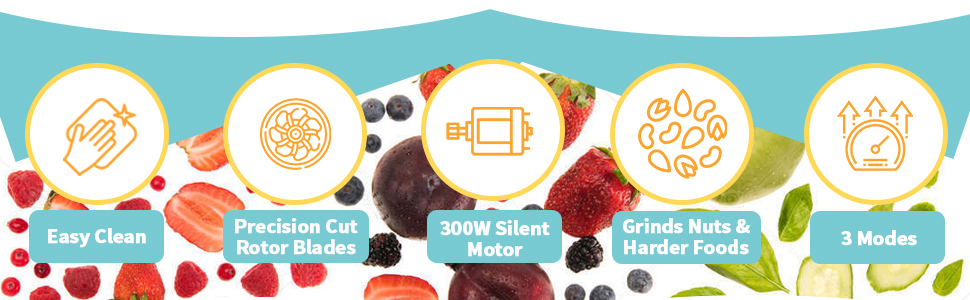 feature icons for personal smoothie blender including easy cleaning blades motor and speed modes